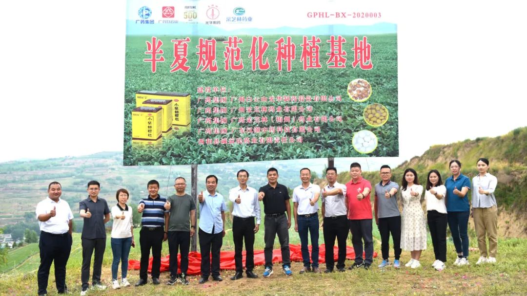 白云山诸侯快讯公司实地考察调研中药材规范化基地